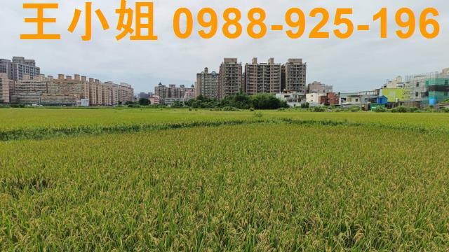 桃園農地-7