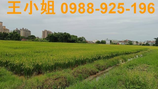 桃園農地-8
