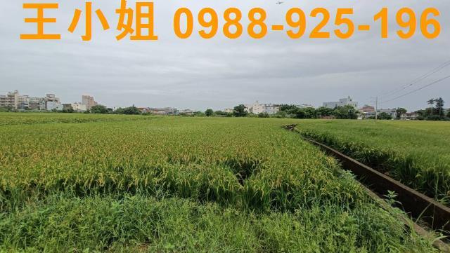 桃園農地-9