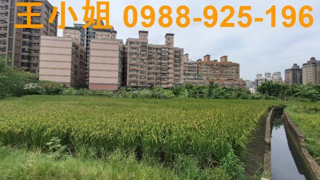 桃園農地-1