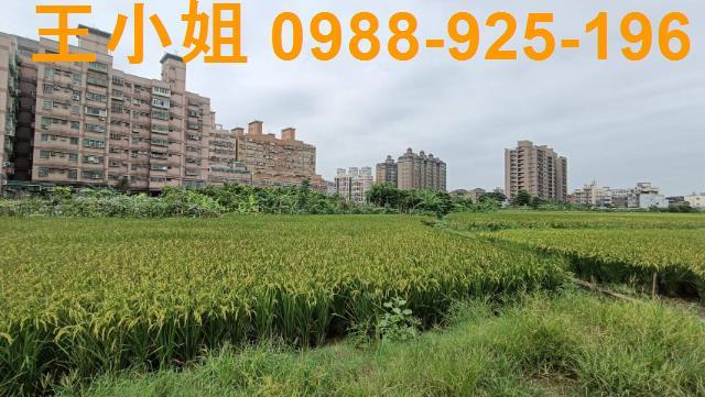桃園農地-2