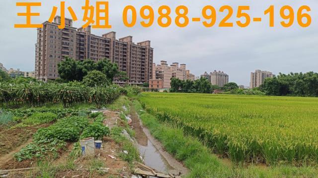桃園農地-3