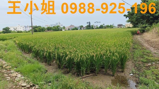 桃園農地-8