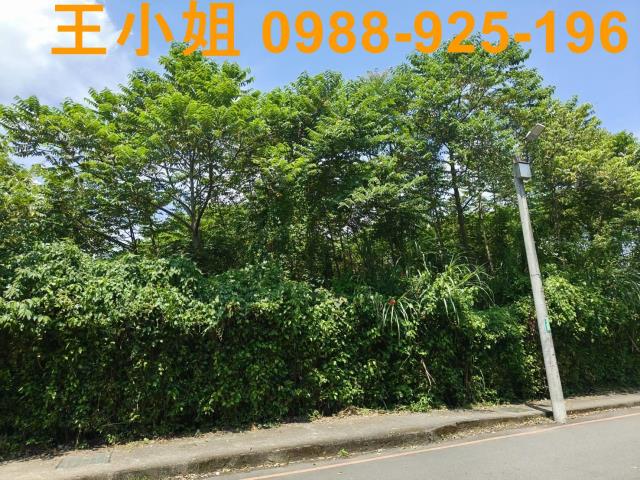 桃園龍潭農地-13