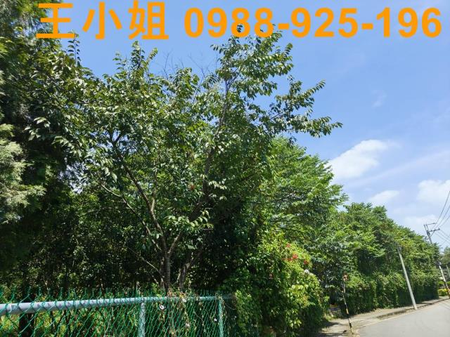 桃園龍潭農地-14