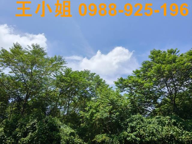 桃園龍潭農地-15