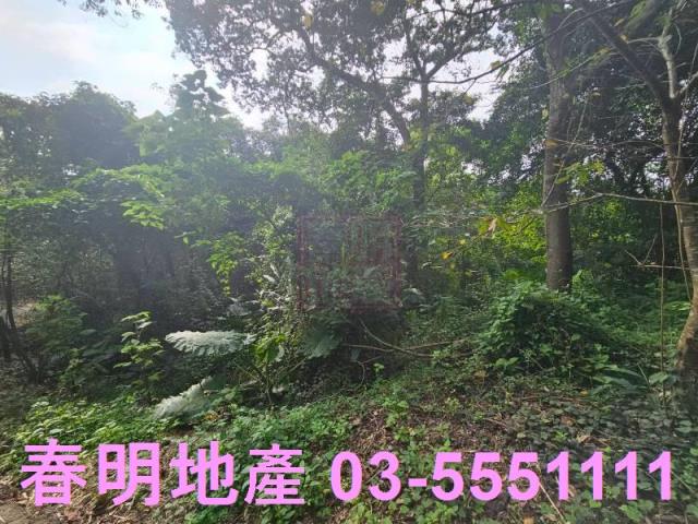 新竹芎林農地-4