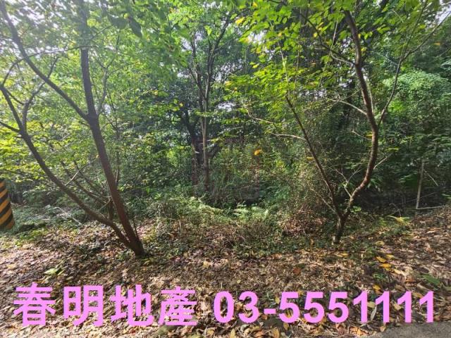 新竹芎林農地-5