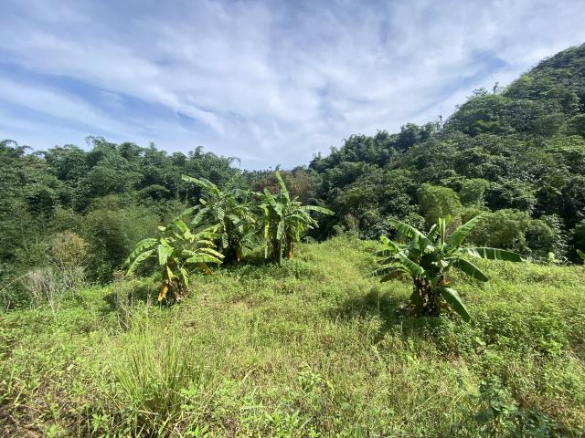 南投中寮山坡地-3