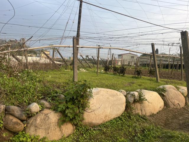 台中東勢農地-5