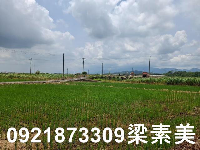 柳營農地-1