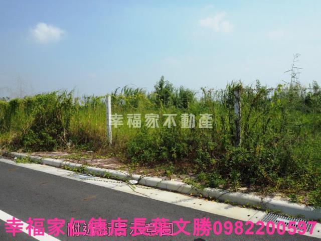麻豆工業地-3