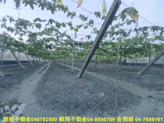溪湖農地-4