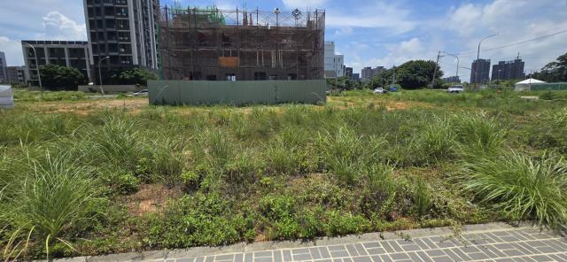 桃園建地-2