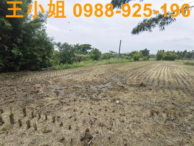 桃園農地-1
