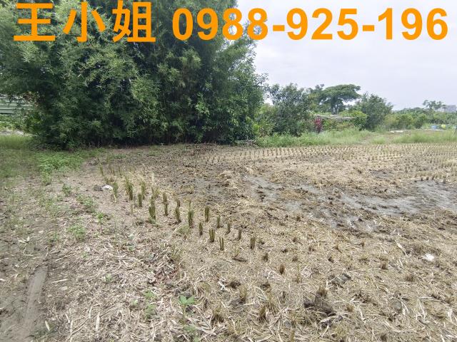 桃園農地-2