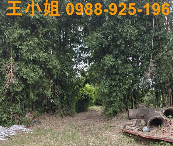 桃園農地-6