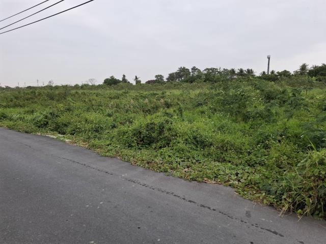 台南新市農地-9