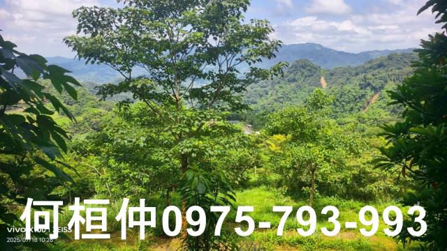 大湖農地-2
