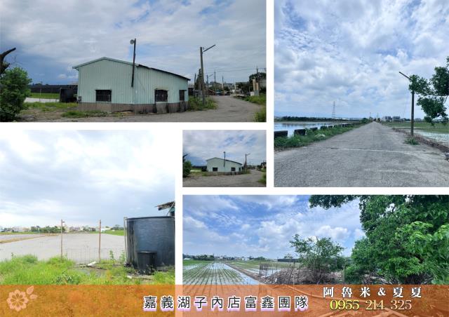 民雄農地-8