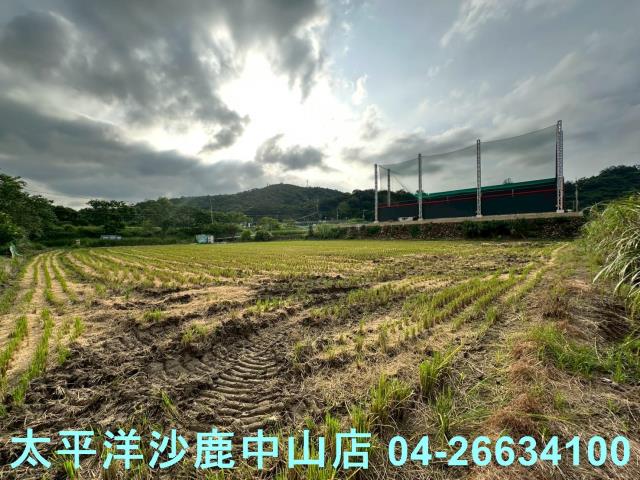 新竹農地-1