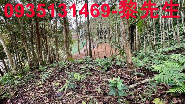 新竹橫山農地-13