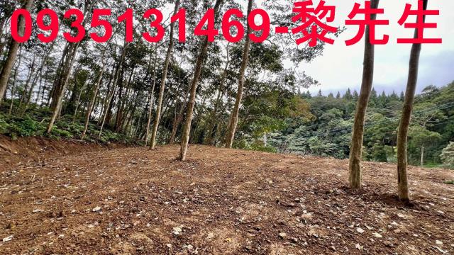 新竹橫山農地-15
