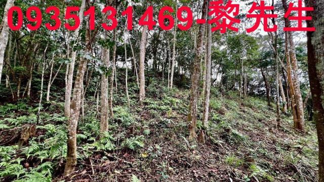 新竹橫山農地-9