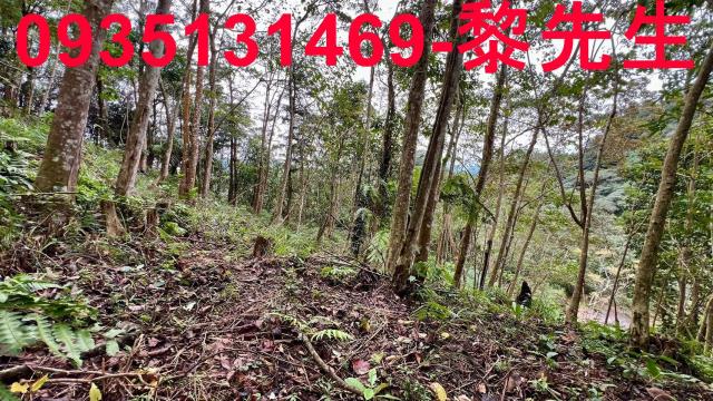 新竹橫山農地-10