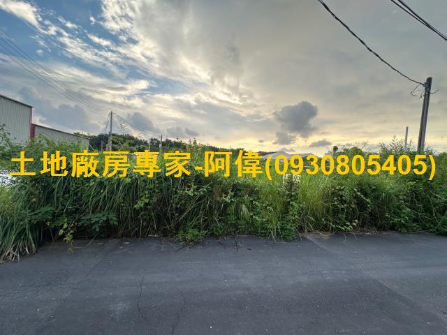 仁武農地-1