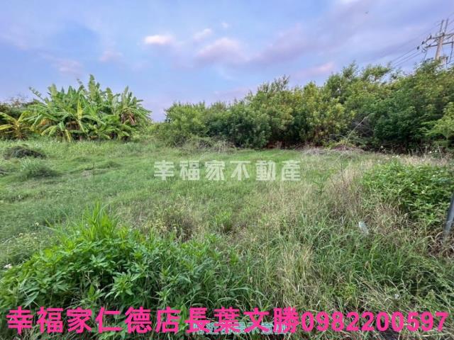 安南農地-12