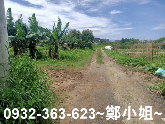 桃園區農地-3