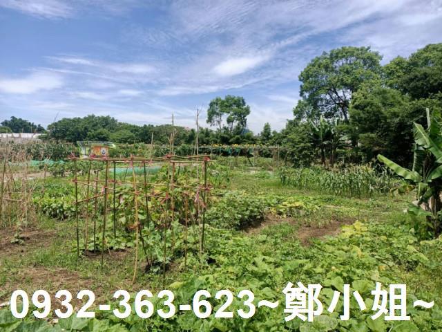 桃園區農地-4
