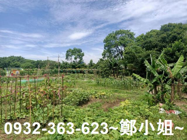 桃園區農地-5