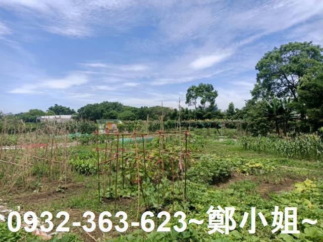 桃園區農地-6
