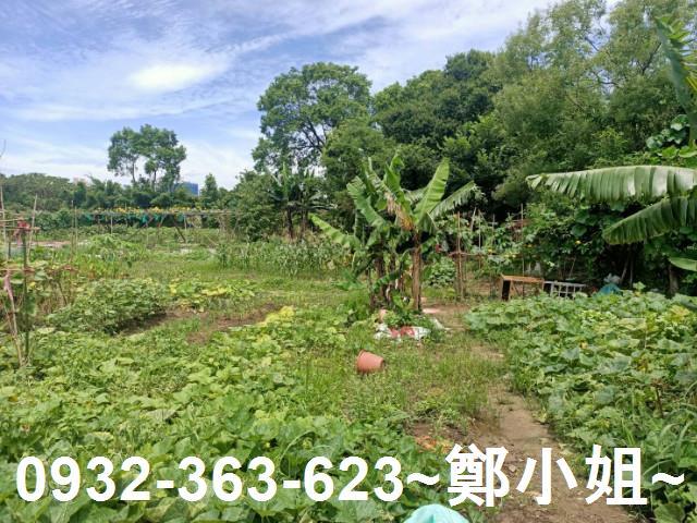 桃園區農地-7