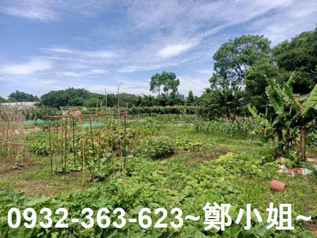桃園區農地-8