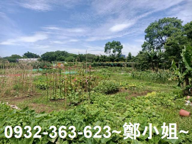 桃園區農地-9