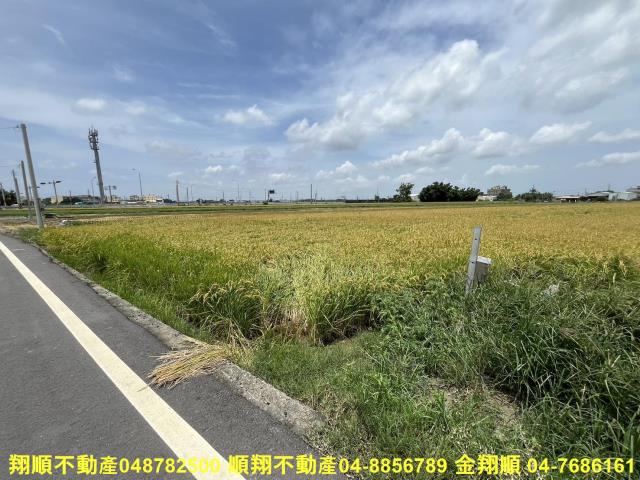 彰化農地-4