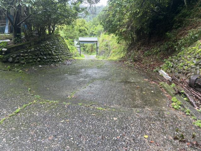 台中東勢林地-6