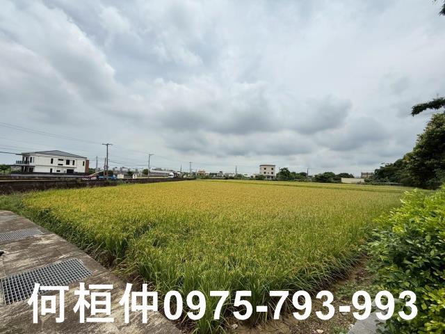 苗栗頭份農地-1
