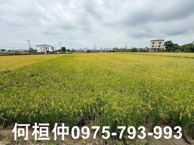 苗栗頭份農地-4