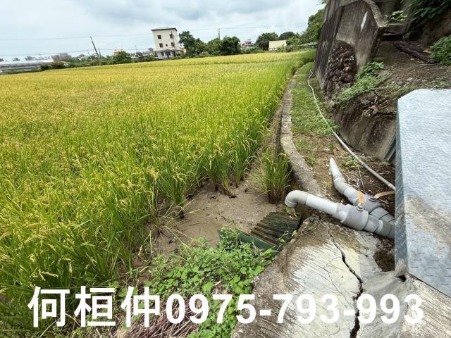 苗栗頭份農地-5