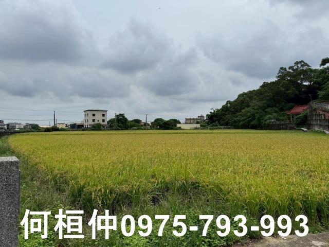 苗栗頭份農地-6