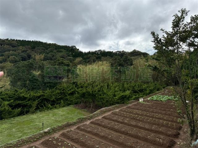 士林農地-7