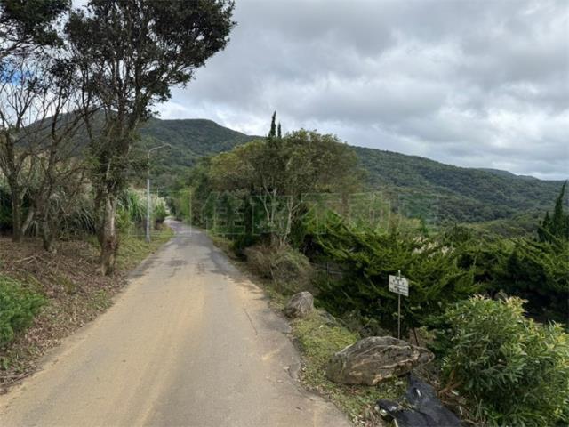 士林農地-9