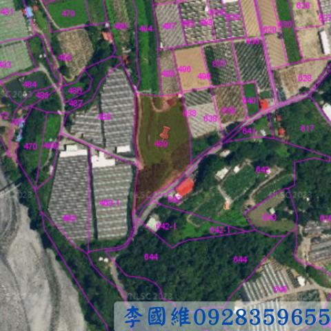 仁愛鄉農地法拍-3
