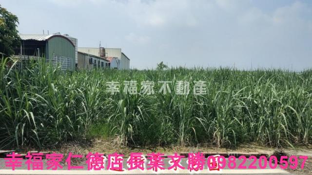 善化農地-9
