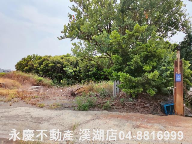 埔鹽農地-10