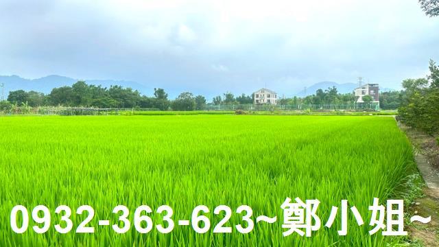 龍潭農地-10